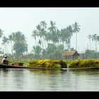 Inle-See Das Seetangboot