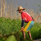 Inlee Lake Myanmar