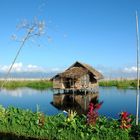 Inlesee (schwimmende Gärten)