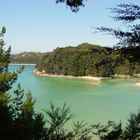 Inlet at Able Tasman National Park