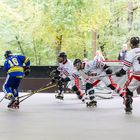 Inlinehockey