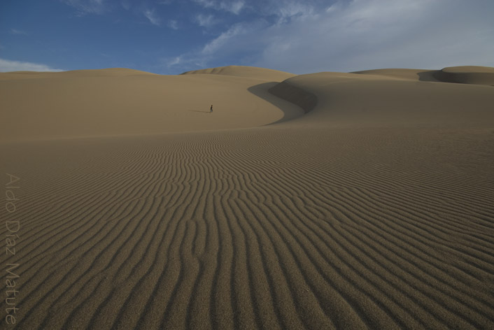 Inmensidad del Desierto