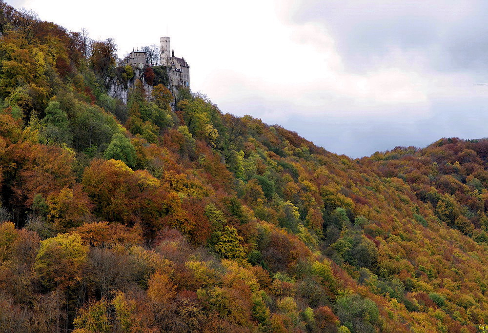 Inmitten bunter Herbstwälder ...