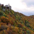 Inmitten bunter Herbstwälder ...