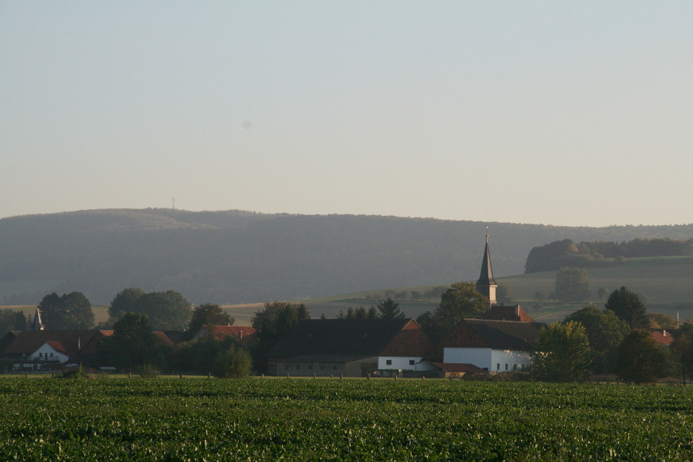 Inmitten der Felder