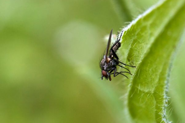 Inmitten der Hoffnung