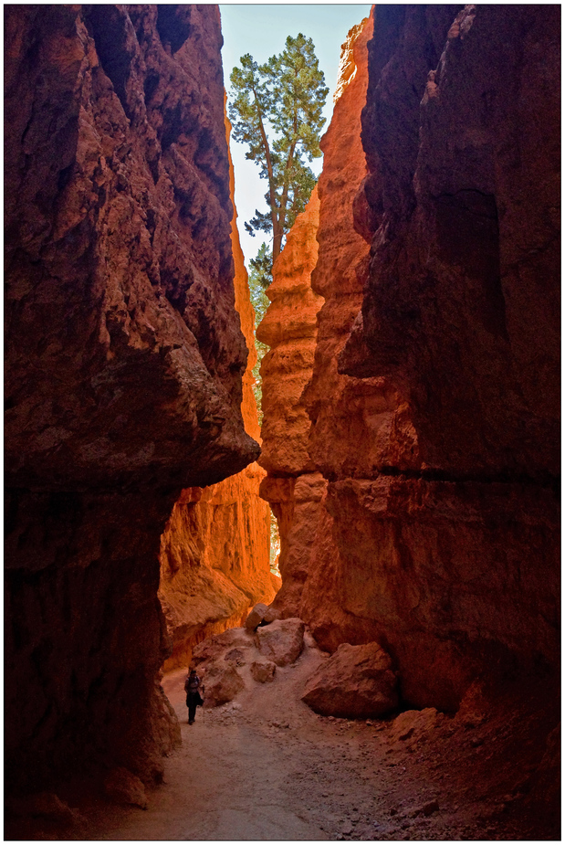 Inmitten der Hoodoos im Bryce Canyon National Park...