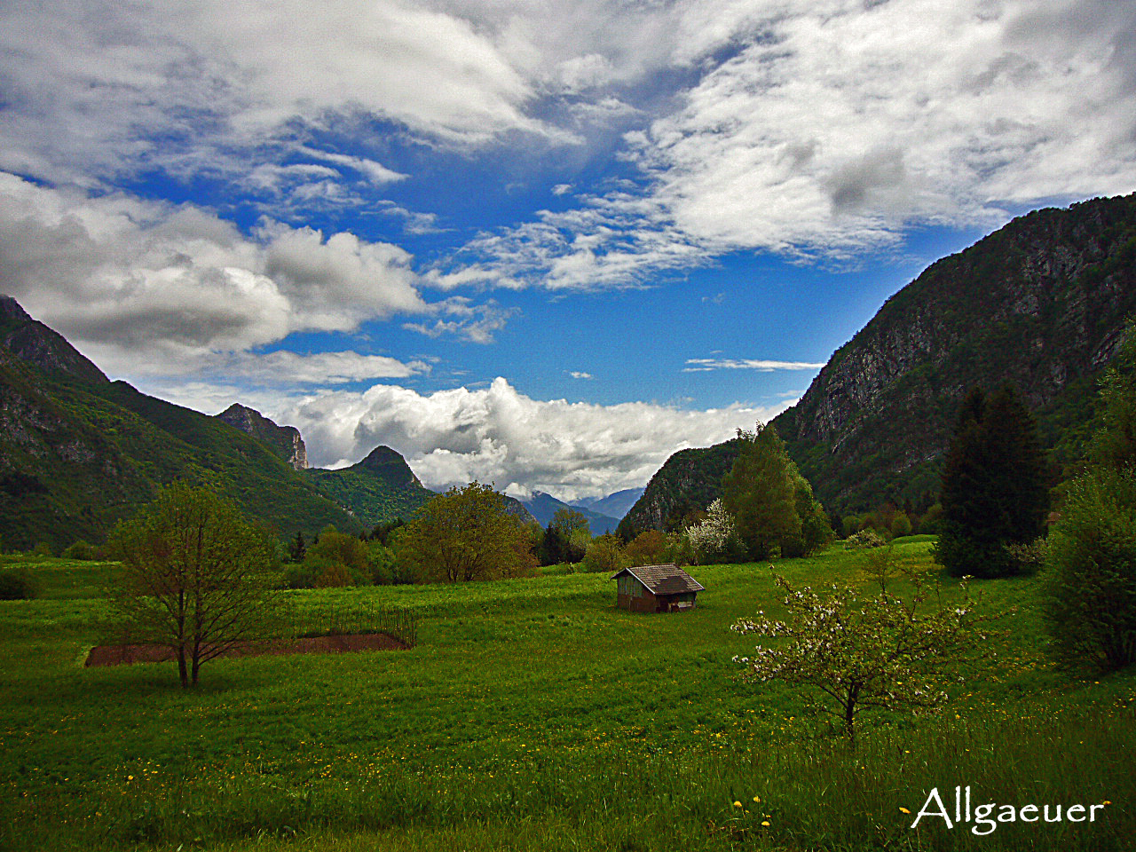 Inmitten der Natur