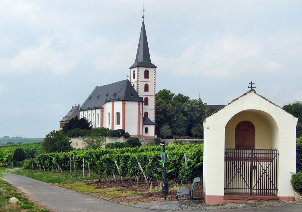 Inmitten der Weinberge. Barock-Kirche St. Peter u. Paul in Hochheim a. Main