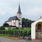 Inmitten der Weinberge. Barock-Kirche St. Peter u. Paul in Hochheim a. Main