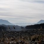 Inn - Alpenblick - der Letzte ..