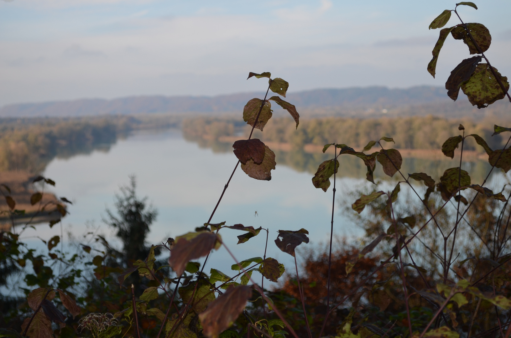 Inn-Salzachblick, mal anders