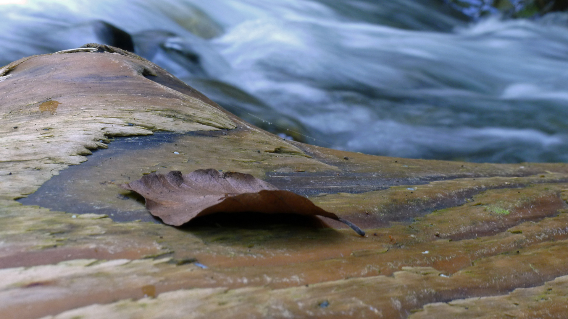 Innehalten im Fluss des Lebens