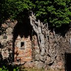 Innenansicht der Klosterruine in Zehdenik