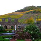 Innengarten des Weingut Kloster Marienthal an der Ahr