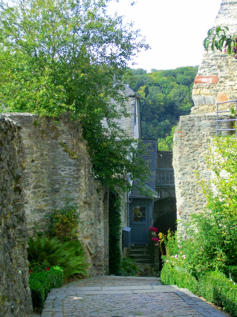 Innenhof Burg Eppstein