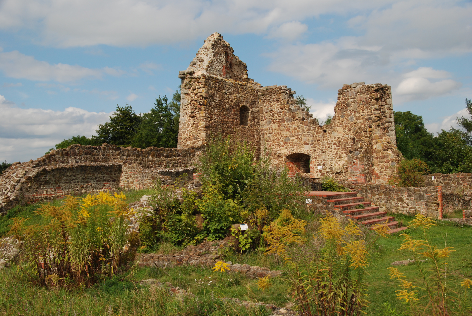 Innenhof - Burgruine Roding