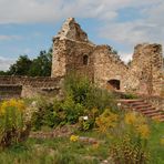 Innenhof - Burgruine Roding