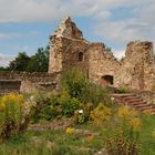 Innenhof - Burgruine Roding