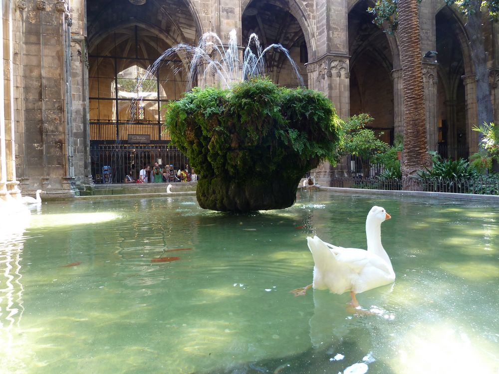 Innenhof der Kathedrale Barcelonas