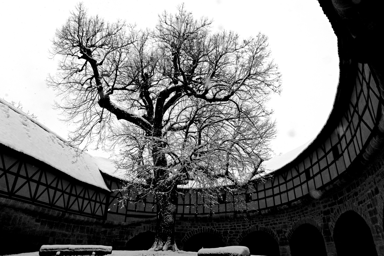 Innenhof mit Baum