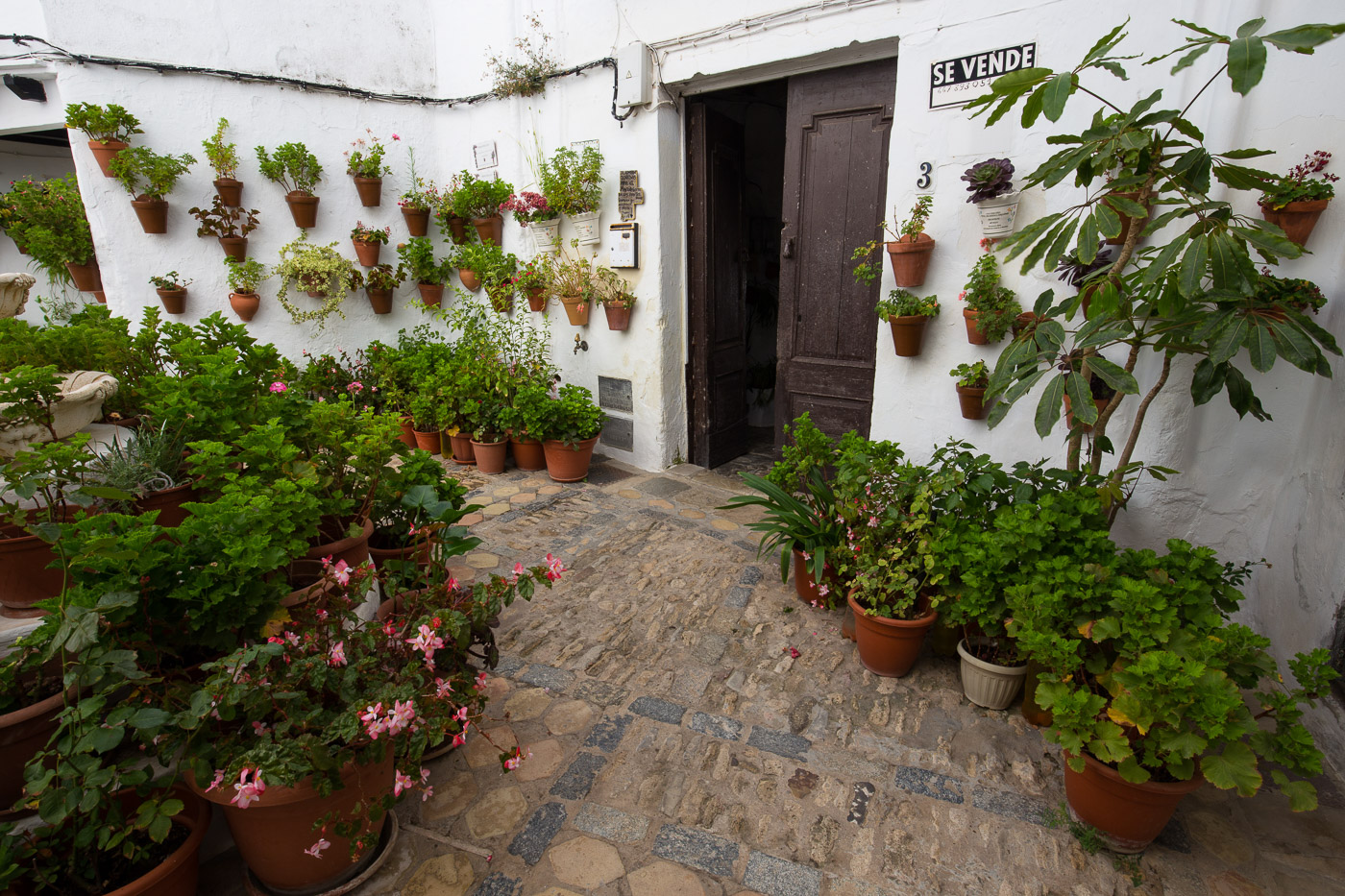 Innenhof mit Pflanzen in Vejer de la Frontera