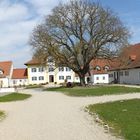 Innenhof mit Walnussbaum - Gut Sedlbrunn im Landkreis Aichach-Friedberg