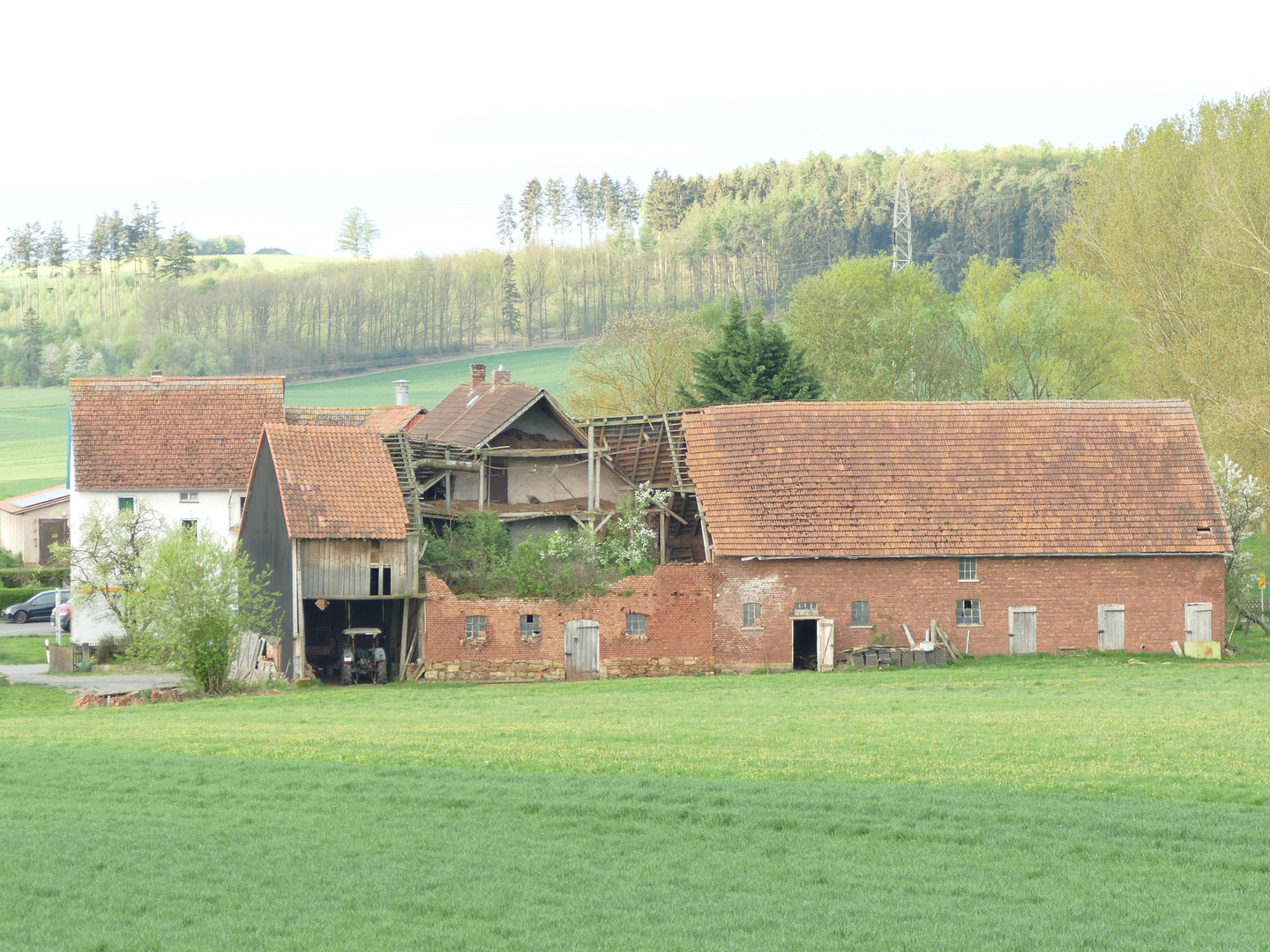 Innenhofbegrünung