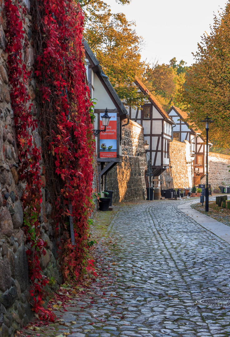 Innenseite der Stadtmauer von Neubrandenburg mit Wiekhäuser