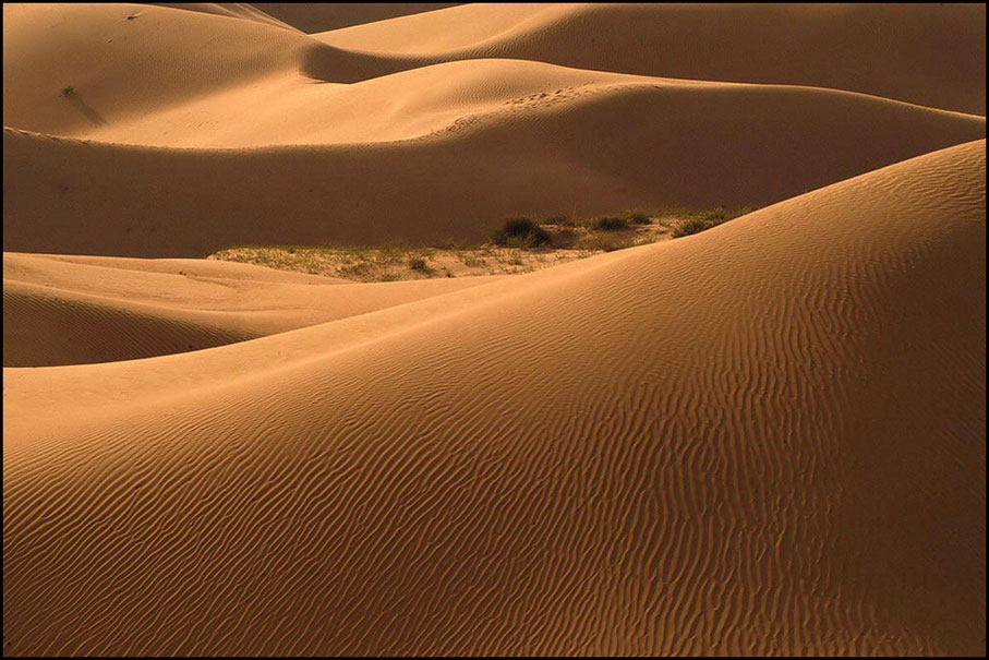 inner mongolia desert - engebei