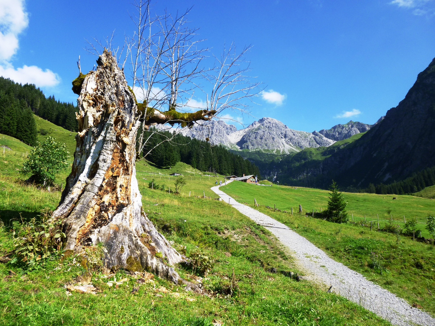 Innere Wiesalpe im Wildental im Kleinwalsertal