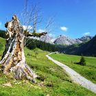 Innere Wiesalpe im Wildental im Kleinwalsertal