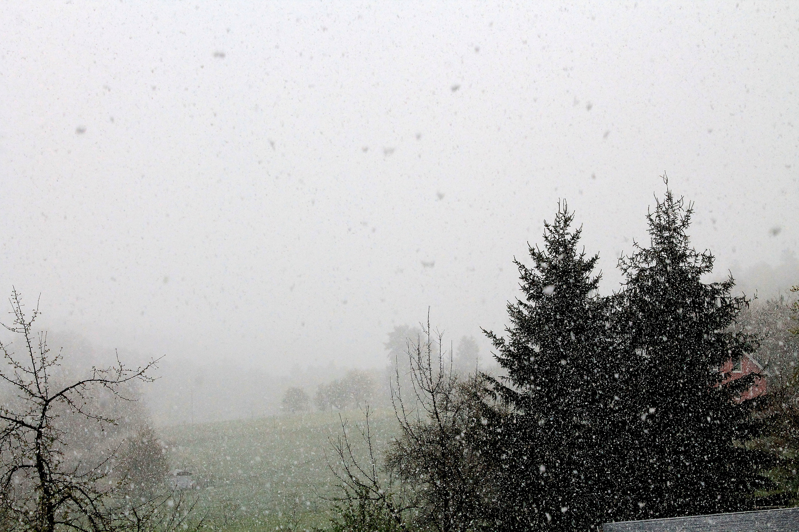 Innerhalb von Minuten Schneesturm im April