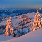 Innerschweizer Morgen (240° Pano)