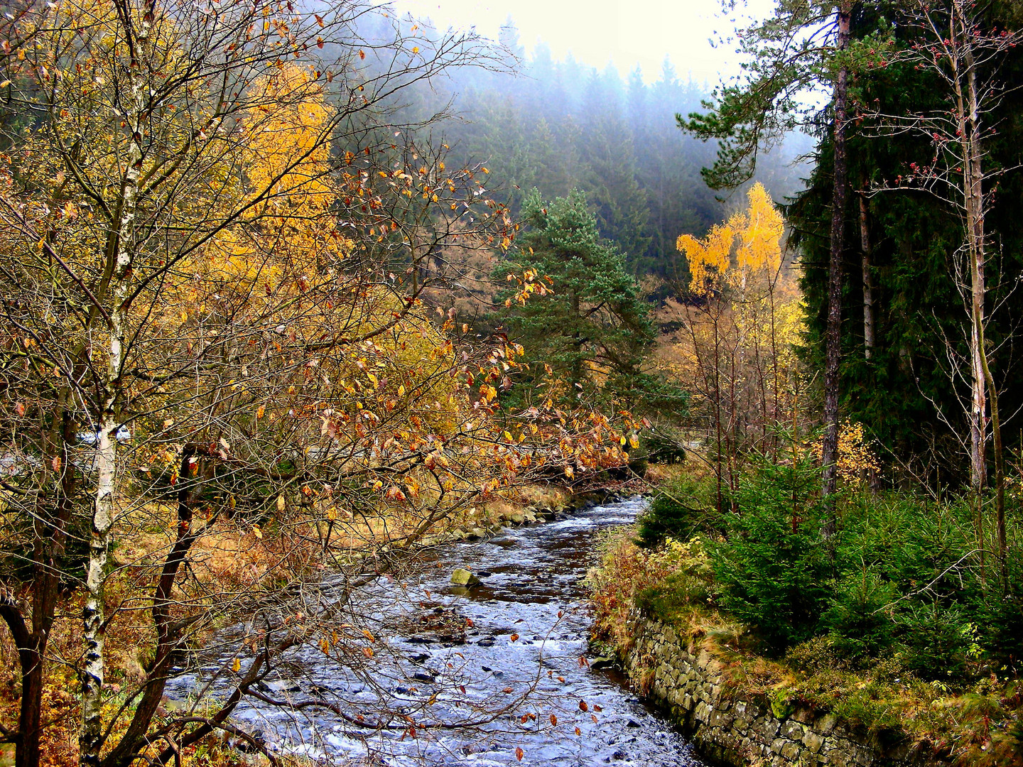 Innerste bei Wildemann/Oberharz