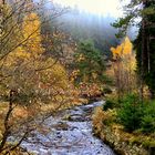 Innerste bei Wildemann/Oberharz