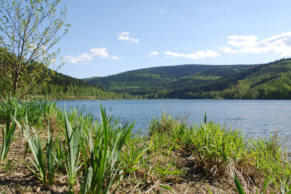 Innerstetalsperre im Harz