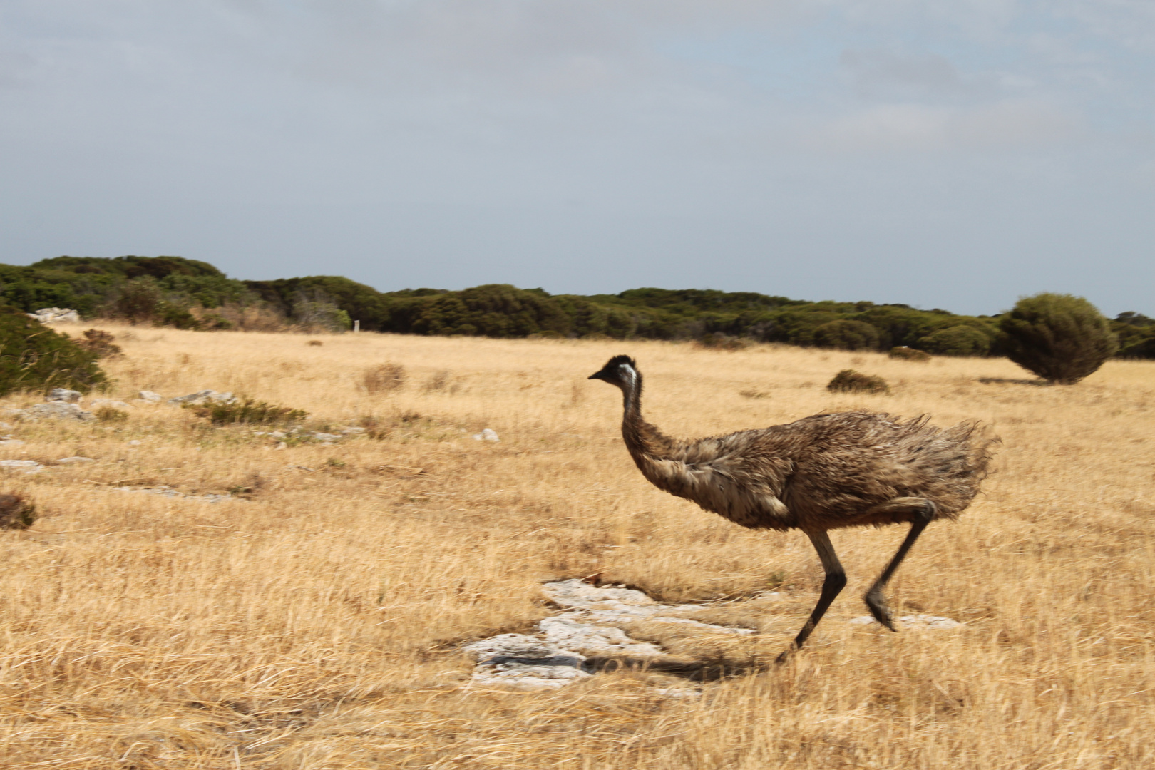 Innes National Park - South Australia