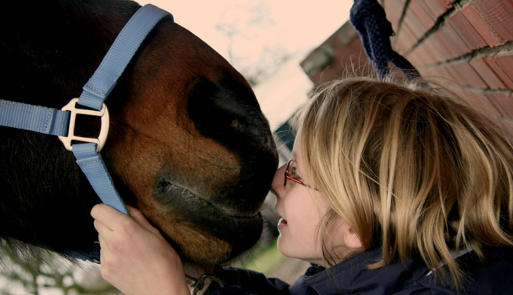 Innige Liebe zwischen Mensch und Pferd