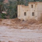 innondation de ghardaia (ouad mzab) 3