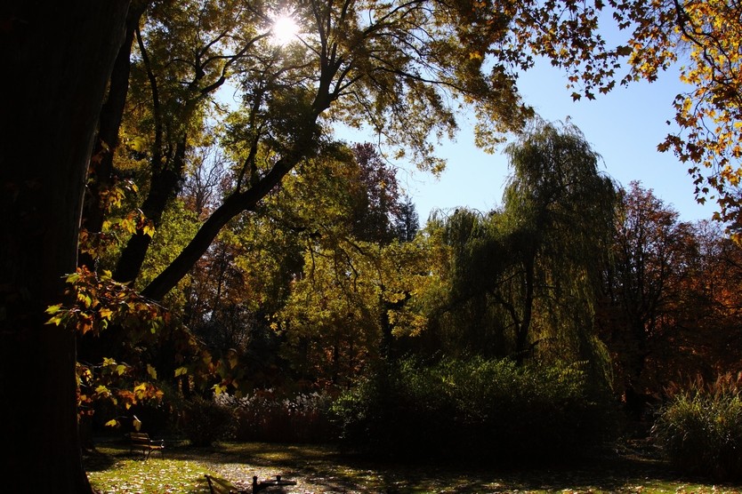 Innsbrucker Hofgarten im Herbst