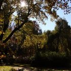 Innsbrucker Hofgarten im Herbst