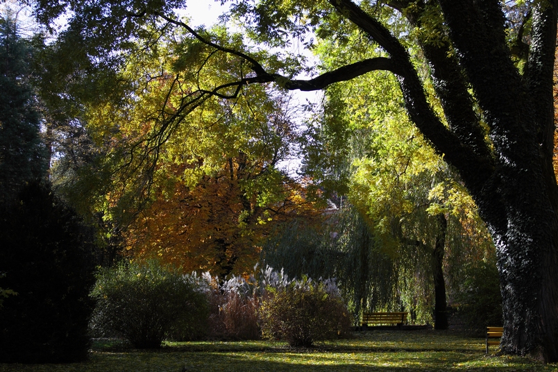 Innsbrucker Hofgarten im Herbst 2