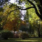 Innsbrucker Hofgarten im Herbst 2