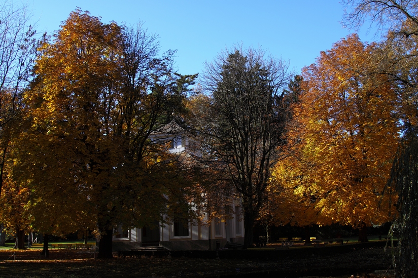 Innsbrucker Hofgarten im Herbst 3