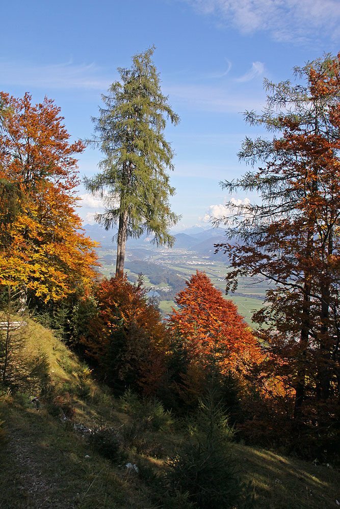 Inntal im Herbst