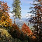 Inntal im Herbst