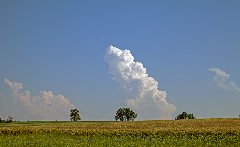 Innviertler Landschaft