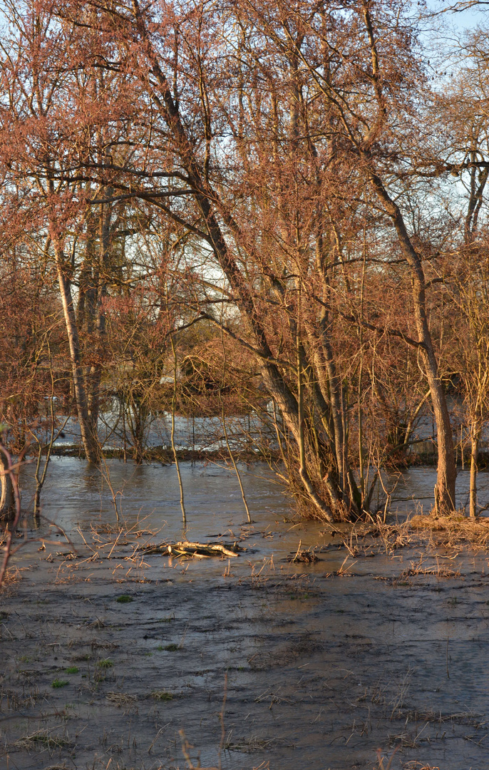 Inondation