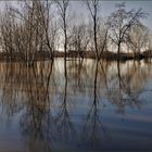 inondation au marais  :2ème tableau  15h